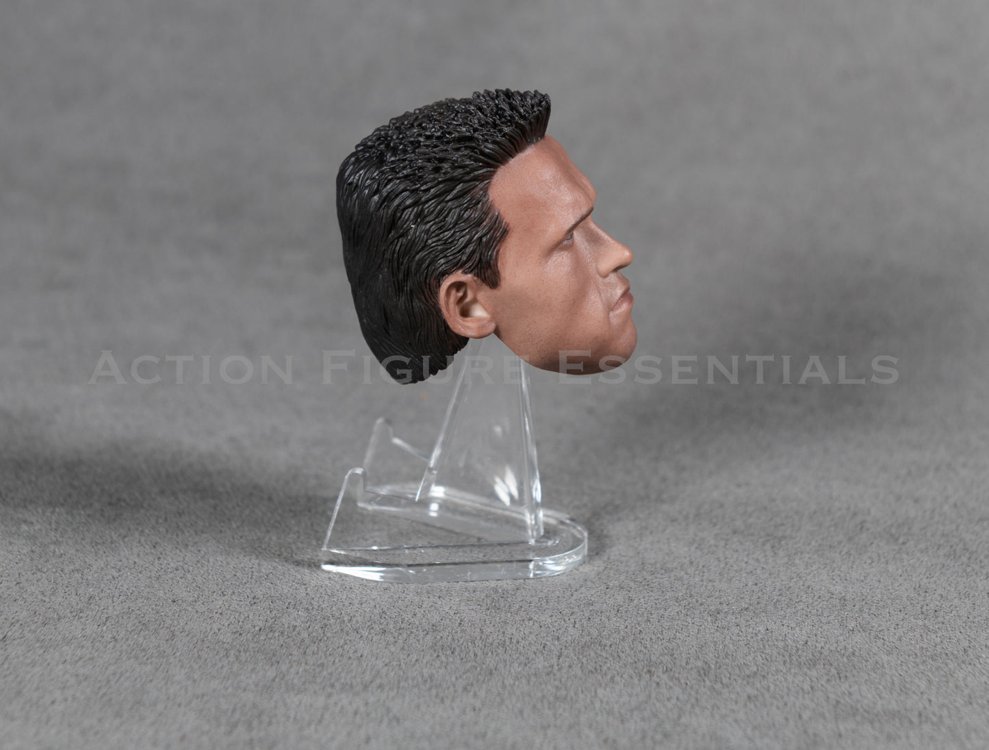 Arnold Schwarzenegger Head Sculpt Custom 1/6 Hot Toys Scale