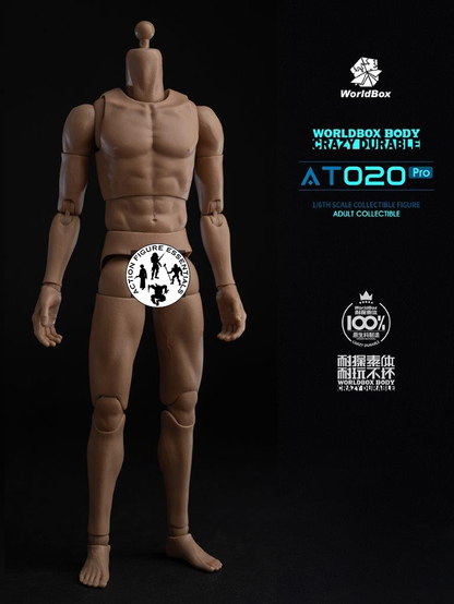WorldBox 1/6 Scale Premium Body Set - Crazy Durable AT020 Pro