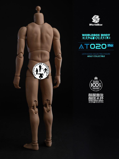WorldBox 1/6 Scale Premium Body Set - Crazy Durable AT020 Pro