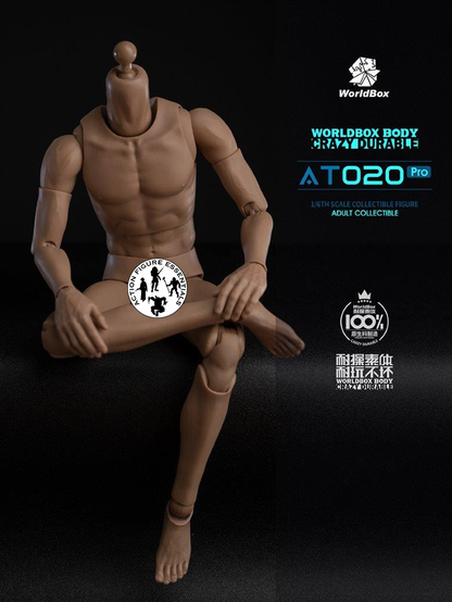 WorldBox 1/6 Scale Premium Body Set - Crazy Durable AT020 Pro