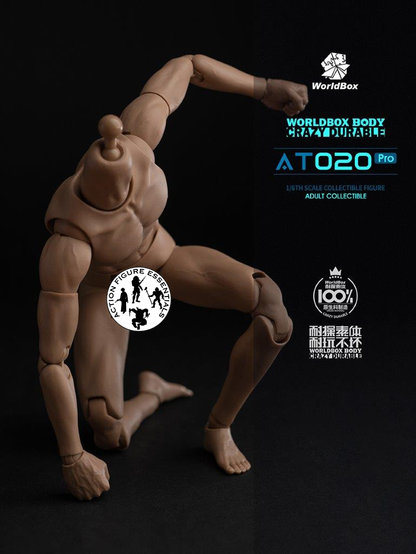 WorldBox 1/6 Scale Premium Body Set - Crazy Durable AT020 Pro