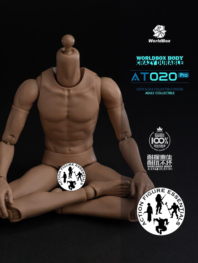 WorldBox 1/6 Scale Premium Body Set - Crazy Durable AT020 Pro