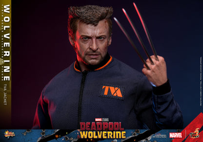 Hot Toys - Wolverine - TVA Jacket Version - MMS756 - 1:6 Scale Action Figure