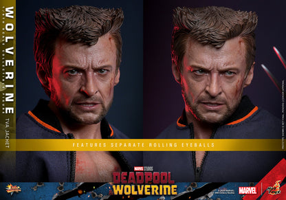 Hot Toys - Wolverine - TVA Jacket Version - MMS756 - 1:6 Scale Action Figure