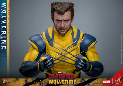 Hot Toys - Wolverine Deluxe - Deadpool v Wolverine - MMS754 - 1:6 Scale Figure Set Marvel