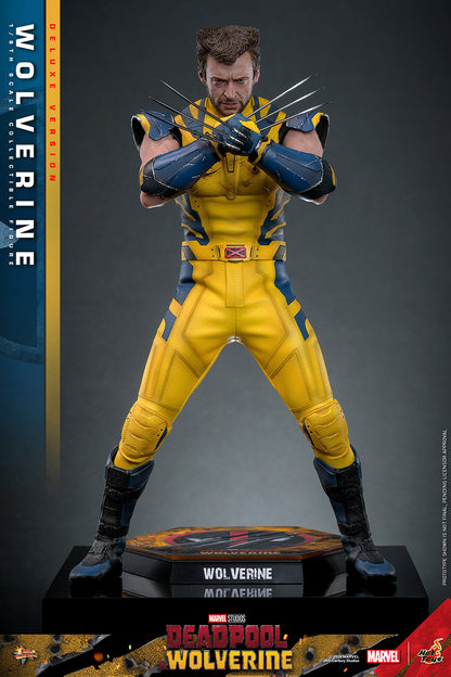 Hot Toys - Wolverine Deluxe - Deadpool v Wolverine - MMS754 - 1:6 Scale Figure Set Marvel