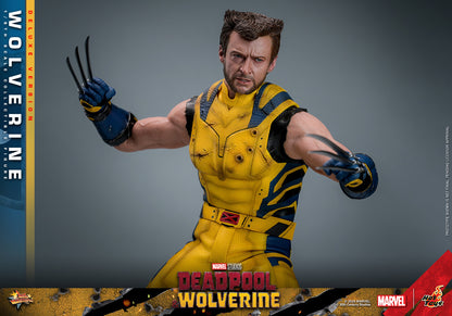 Hot Toys - Wolverine Deluxe - Deadpool v Wolverine - MMS754 - 1:6 Scale Figure Set Marvel