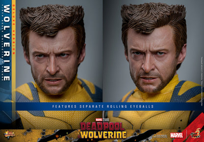 Hot Toys - Wolverine Deluxe - Deadpool v Wolverine - MMS754 - 1:6 Scale Figure Set Marvel
