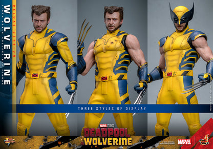 Hot Toys - Wolverine Deluxe - Deadpool v Wolverine - MMS754 - 1:6 Scale Figure Set Marvel