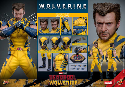 Hot Toys - Wolverine Deluxe - Deadpool v Wolverine - MMS754 - 1:6 Scale Figure Set Marvel
