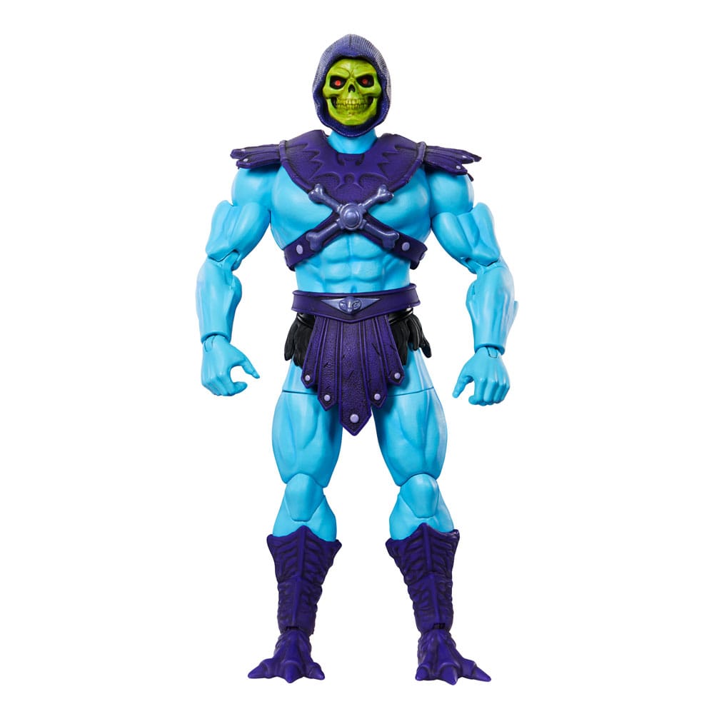 Masters of the Universe Skeletor Masterverse Vintage Collection Action Figure Mattel MOTU